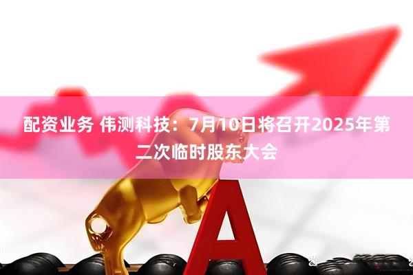 配资业务 伟测科技：7月10日将召开2025年第二次临时股东大会