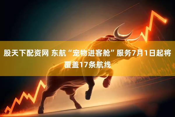 股天下配资网 东航“宠物进客舱”服务7月1日起将覆盖17条航线