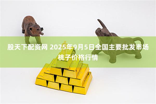 股天下配资网 2025年9月5日全国主要批发市场桃子价格行情