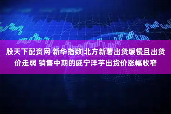 股天下配资网 新华指数|北方新薯出货缓慢且出货价走弱 销售中期的威宁洋芋出货价涨幅收窄