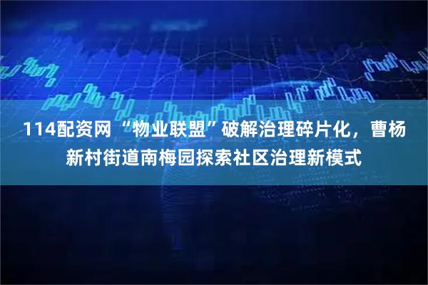 114配资网 “物业联盟”破解治理碎片化，曹杨新村街道南梅园探索社区治理新模式